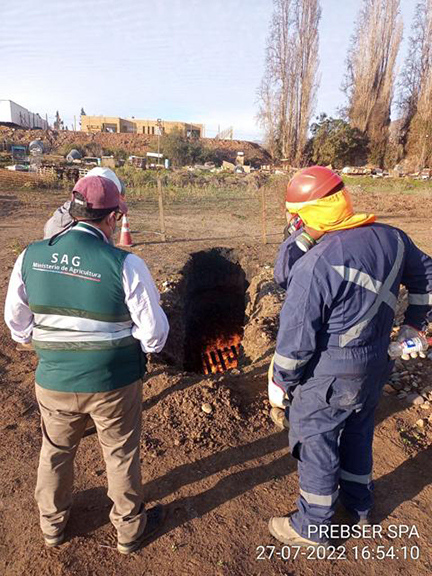 Inspección técnica para garantizar el aseguramiento y control de calidad (Qa/Qc) sobre proceso de incineración de pallets para nuestro cliente Soc. Comercial Los Naranjos, dando cumplimiento al 100% de los requisitos establecidos por el ente fiscalizador. Illapel, IV Región.